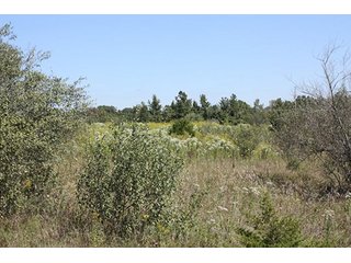 Property photo 40 - 419 +/- Acres offered in 6 Tracts, Land Auction